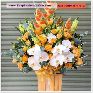 Hoa Tươi Tặng Khai Trương - OK81